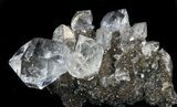 Exceptional Herkimer Diamond Cluster On Druzy Quartz #34053-3